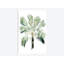 « palm of the tropiques i », reproduction d’impression sur toile-29284091-74738031-74738036