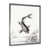 Silver Framed Canvas