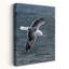 Soaring 1 Piece Wrapped Canvas Wall Art-1441267363