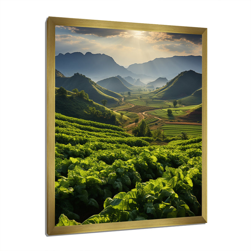 Impression sur toile «Cuba & tabac champs de Cuba III», H 32 po x l 16 po x P 1 po, Encadrement doré