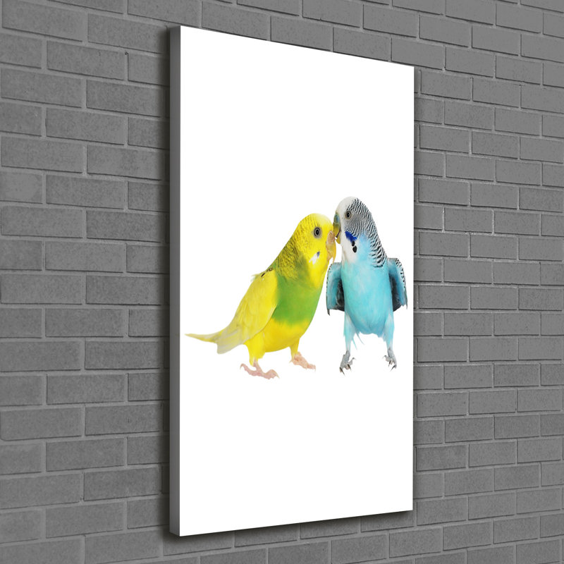 Budgies - Wrapped Canvas Print, 120cm H x 60cm W