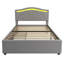 Saniyah Upholstered Storage Bed-2070149939