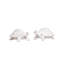 Clever Creatures Turtle Salt And Pepper