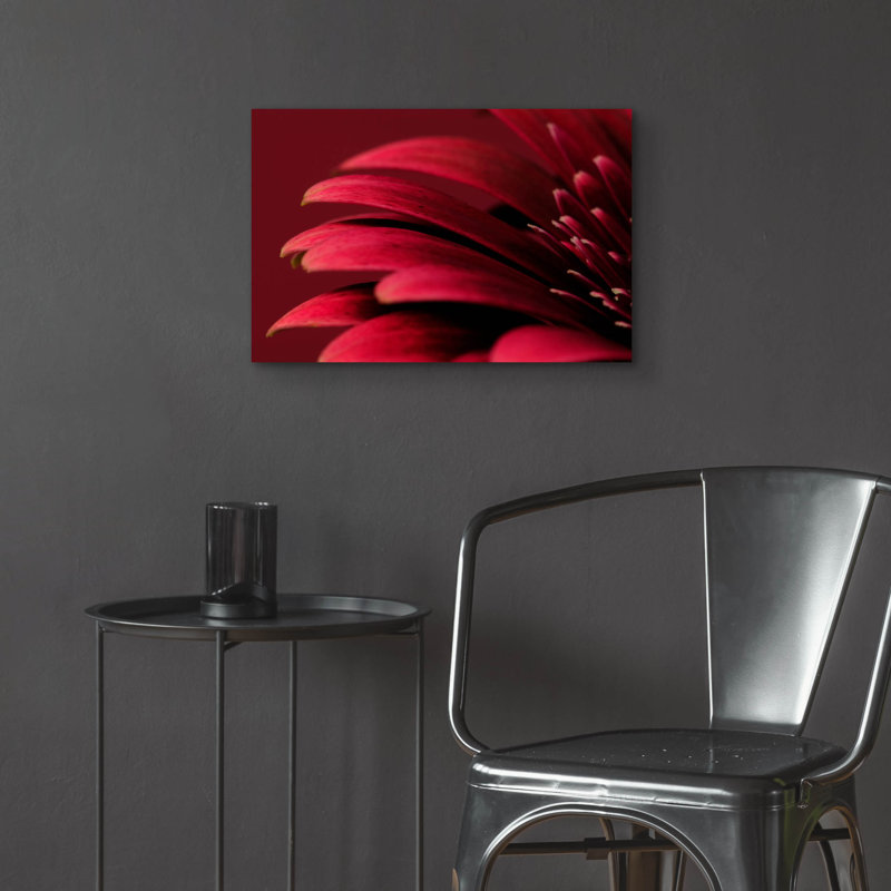 Épique «Petals Of A Red Gerbera» par Tom Quarterm «Petals Of A Red Gerbera» par Tom Quartermaine