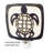 SHELL BACK SEA TURTLE NIGHT LIGHT