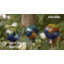 Piquet de jardin Astrology & Stars