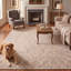 Tapis traditionnel à motifs floraux, coloris gris, crème, ivoire, beige et rose, lavable à la machine, antidérapant, à poils courts, pour l'intérieur et l'extérieur, adapté aux animaux domestiques, idéal pour le salon, la chambre, la salle à manger, l'entrée, le couloir ou le bureau.-1430379011