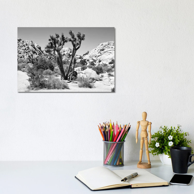 Joshua Tree II by Philippe Hugonnard - Wrapped Canvas Print, 20.32 cm H x 30.48 cm W