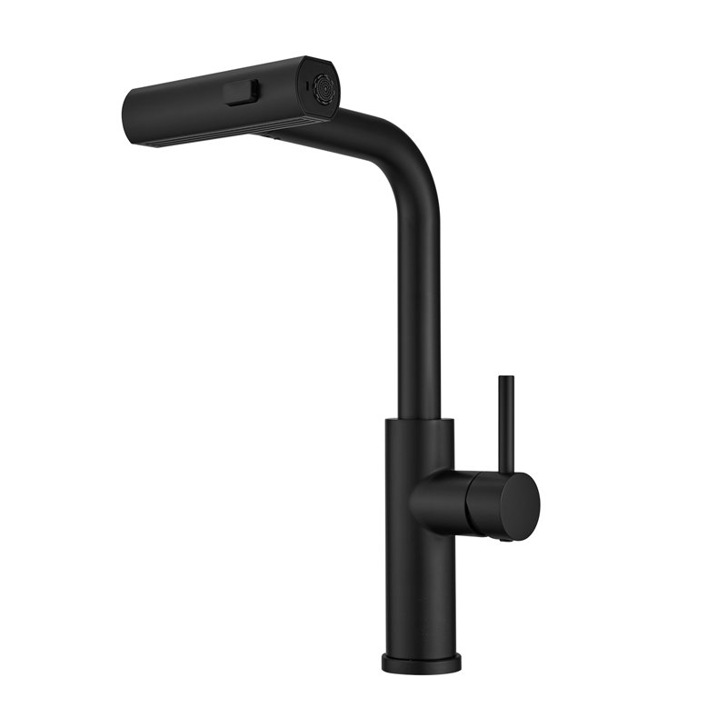 Pull Out 304 Stainless Steel Kitchen Faucet, Matte Black