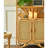 High Appearance Level High Quality Accent Cabinet Bookcase