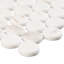 Muse 1" Glass Penny Round Mosaic Wall & Floor Tile-80149436