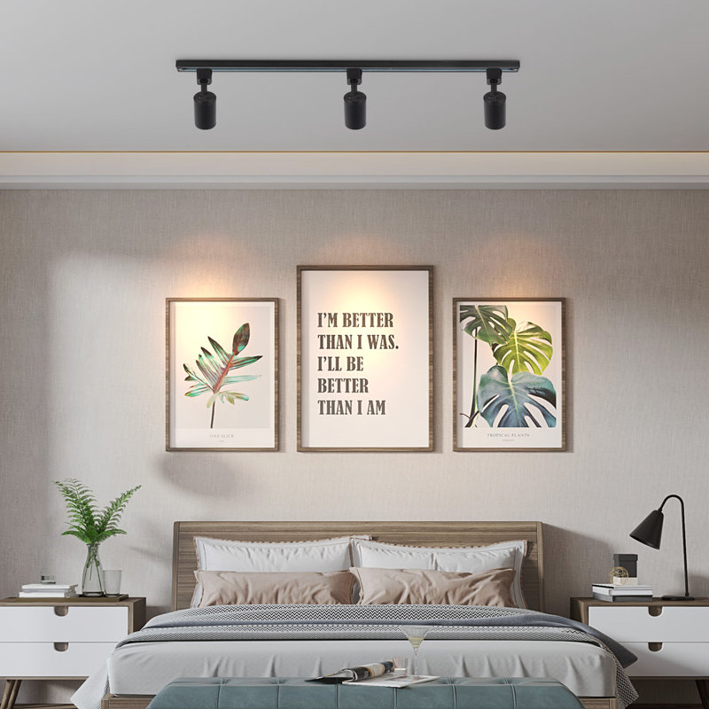 Têtes d'éclairage à DEL à intensité variable compatibles avec un projecteur de plafond à rail H de type circuit unique pour une exposition d'art mural décorative