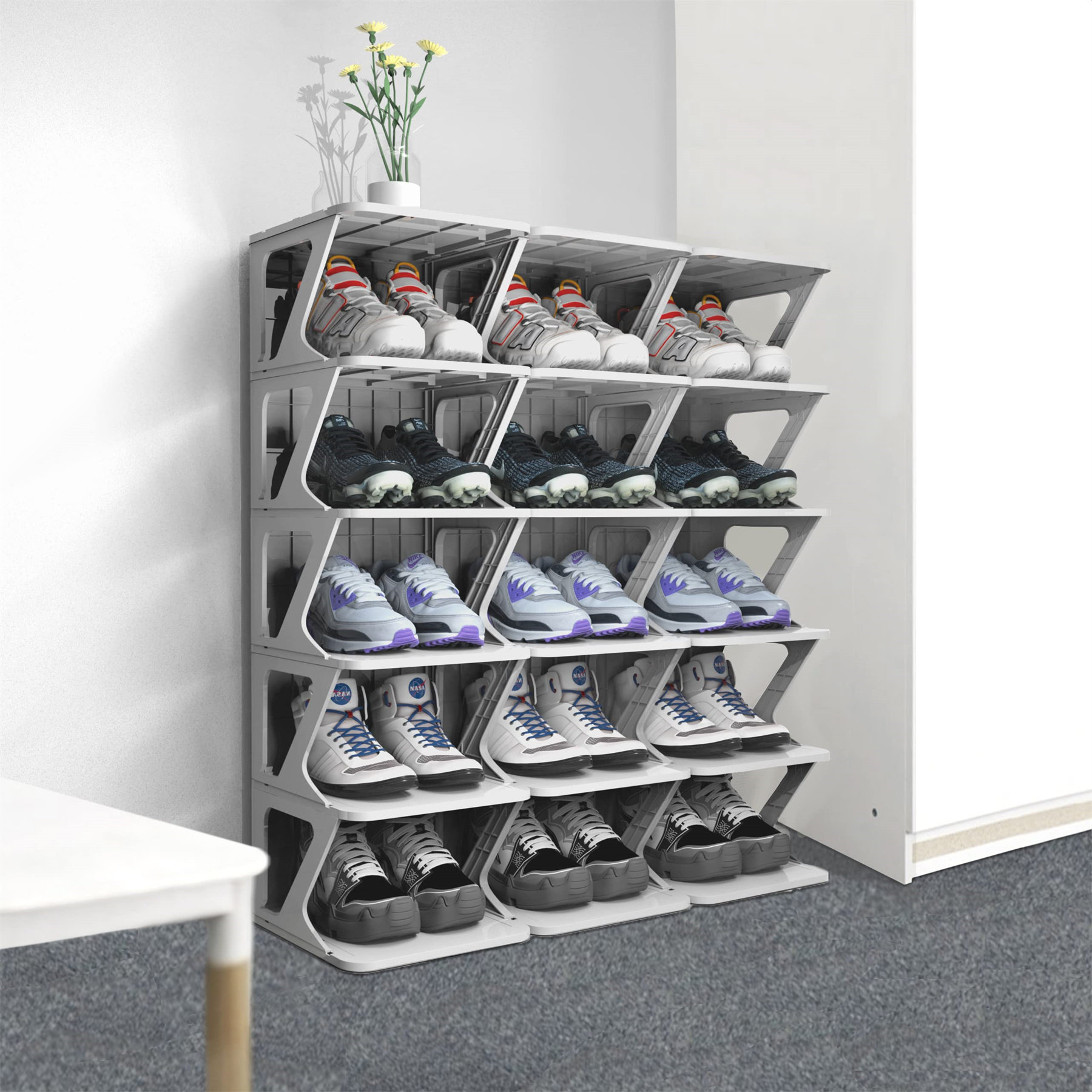 https://assets.wfcdn.com/im/04945842/compr-r85/2546/254627624/hariah-6-pair-stackable-shoe-rack.jpg