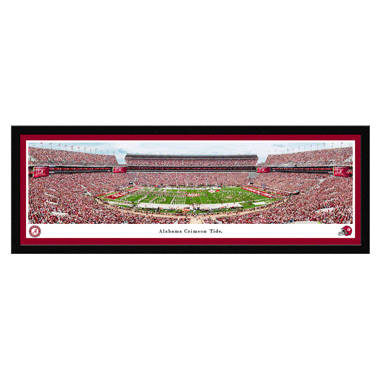 Houston Texans - 50 Yard Line - Unframed Blakeway Panoramas Print