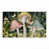 Champignons de minuit