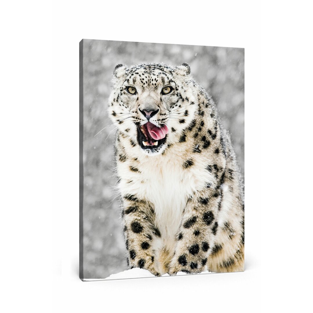 Leinwandbild Leopard im Schnee