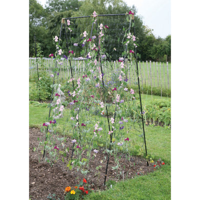 Cadre de culture en acier Haxnicks pour pois et haricots avec filet pour plantes grimpantes