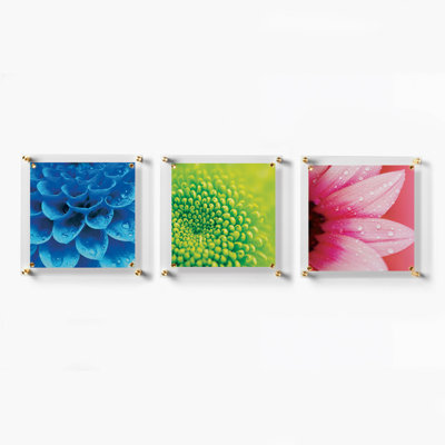 Trio 12" x 12" Picture Frame