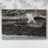 Solo Flight -Gallery Wrapped Cavas-260860267