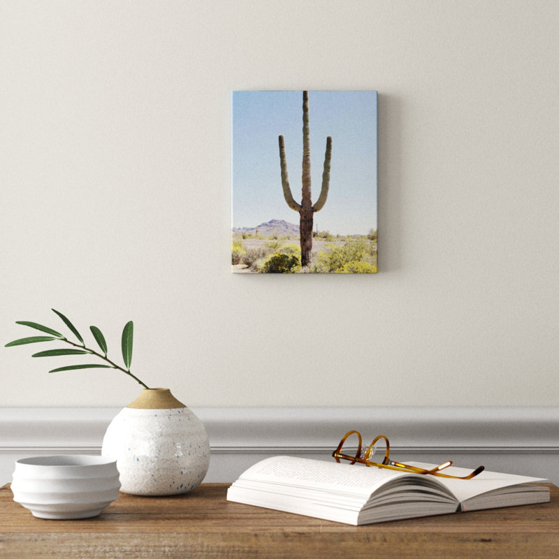 «Lone Cactus» par Bree Madden - reproduction de photo, H 10 po x l 8 po x P 2 po, Toile tendue, Pas de tapis