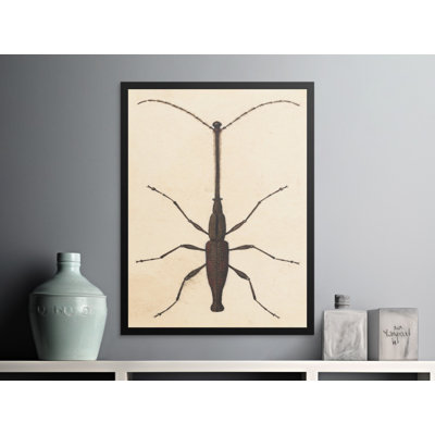 Beaulieu Print