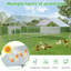 Derward 200 Square Feet Walk In Chicken Run For Up To 20 Chickens