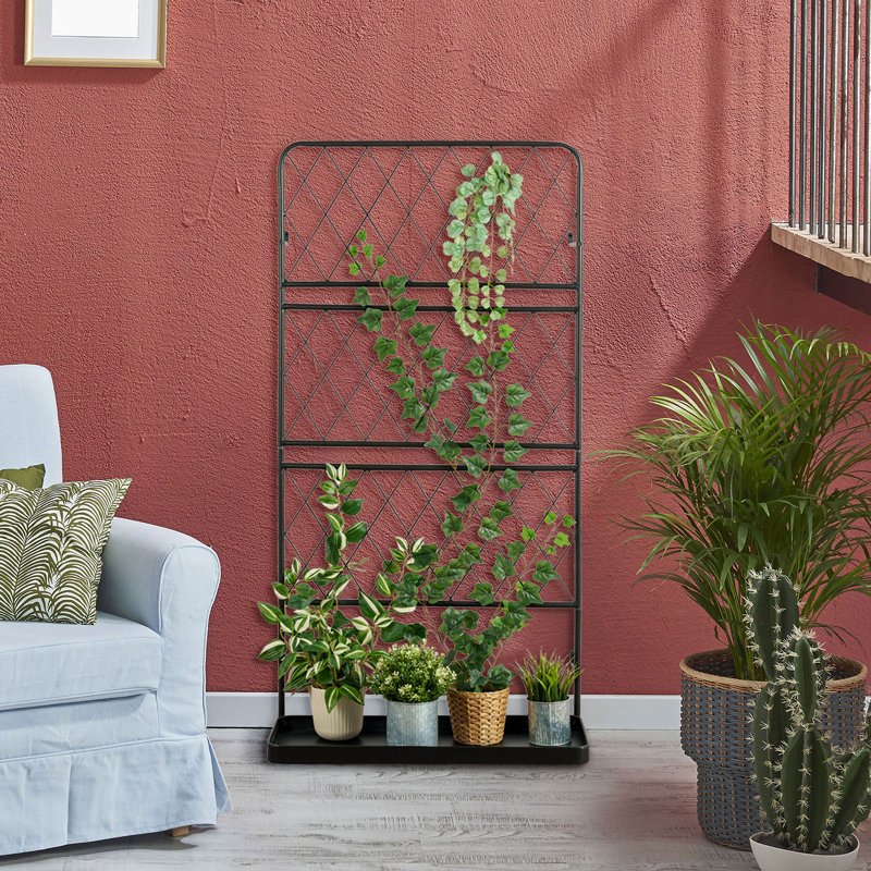 Treillis de support pour plantes Ringwald