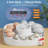 12 Egg Incubator with Automatic Egg Turning and Humidity Display, 4 Modes Incubators for Hatching Eggs with Bulit-in Candler, 360° View Clear Window, for Chicken, White, 11.2x11.2x7.6 inch