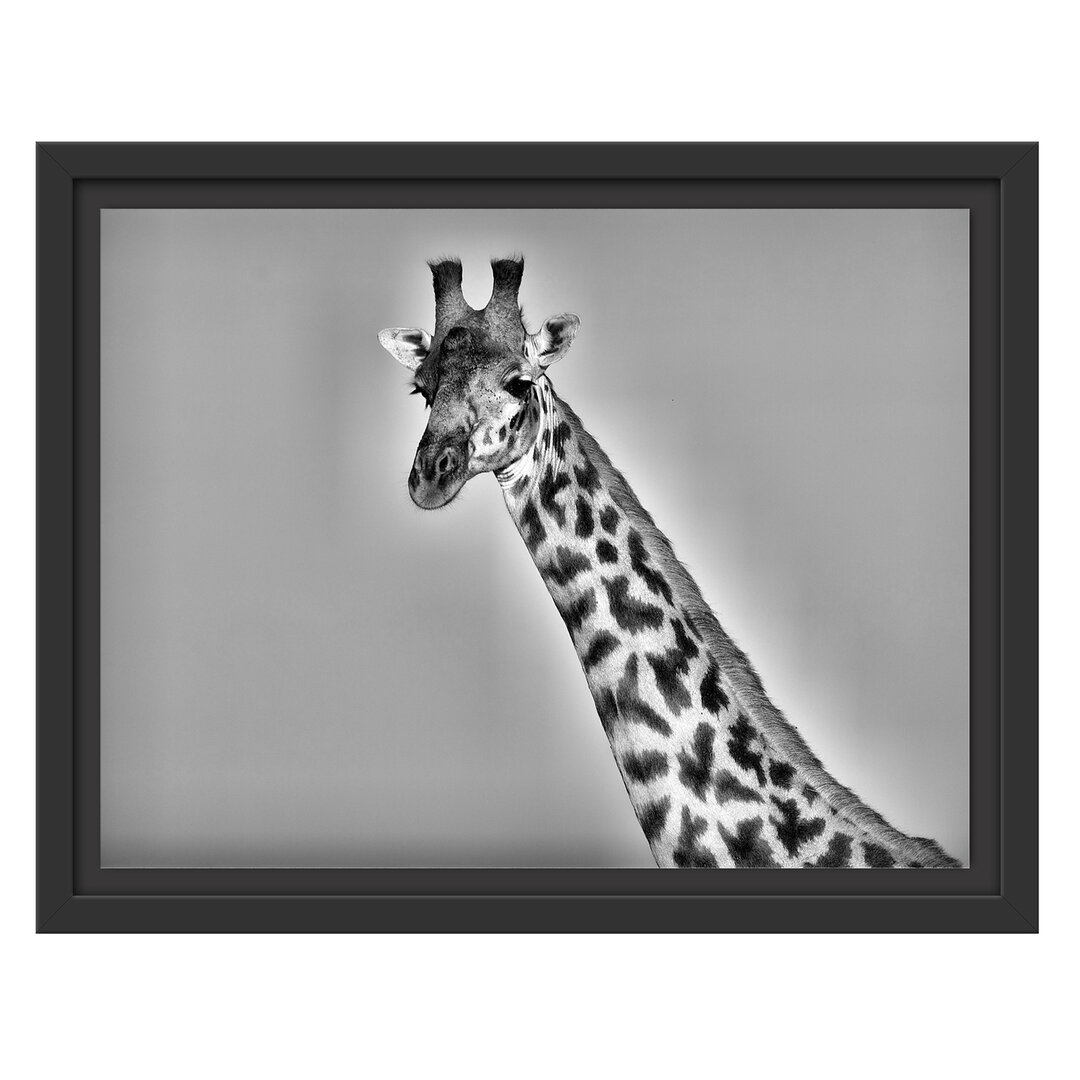 Gerahmtes Wandbild majestätische Giraffe