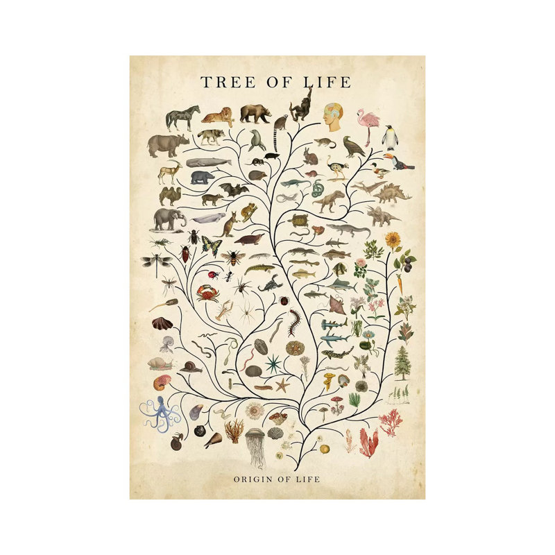 Tree Of Life by Studio W - Wrapped Canvas Print, 101.6 cm H x 66.04 cm W x 3.175 cm D