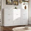 Armoire de rangement pour chaussures (ensemble de 3)