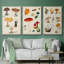 " Mushroom Species VI " 3 - Pieces-91891309-91891306
