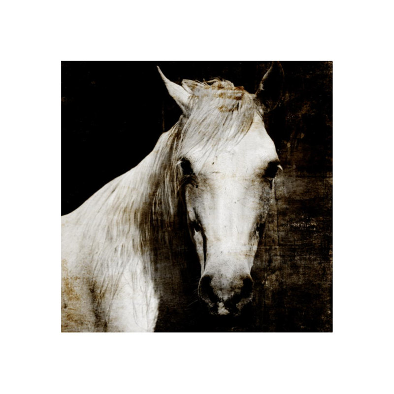 «Aristotle II» par Sofia Fox - impression d'art graphique, H 36 po x l 36 po, Plexi