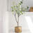 Faux Foliage Tree in Pot-219544555