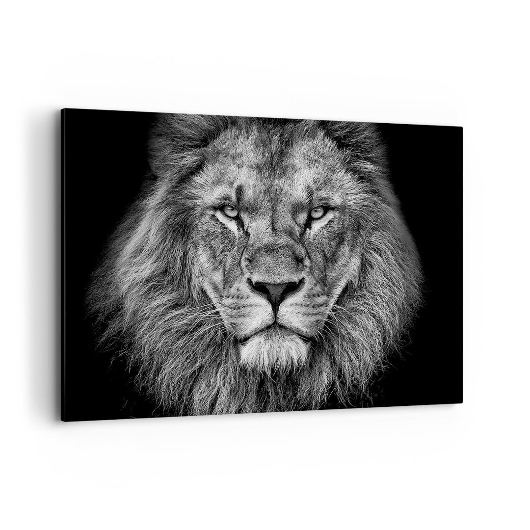 Leinwandbild Portrait Lion Black and White