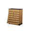 Mathews Chest