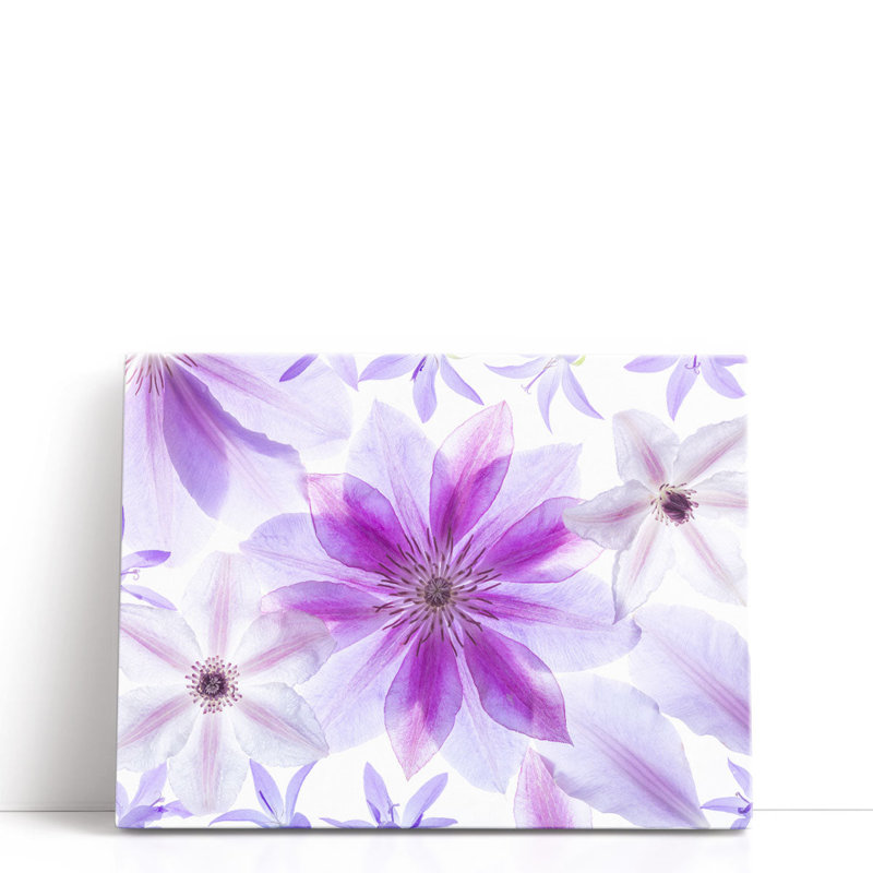 Fleurs de clématite II - reproduction d'art sur toile, H 18 po x l 24 po