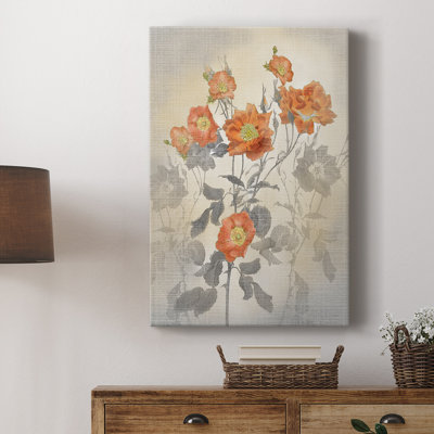 Red Climber - Galeria Cavas