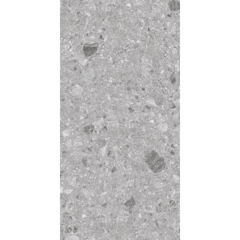 Carreau de mur et de plancher en porcelaine 24 po x 48 po, Gris