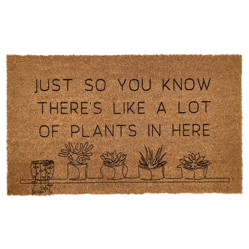 Non-Slip Doormat, 24" W x 36" L