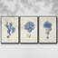 Corail antique en bleu marine, ensemble de 3 pièces encadrées sur toile-97760007-97760011