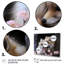 «Springtime Foxs Gaze I», art mural animal-446403583-446403578