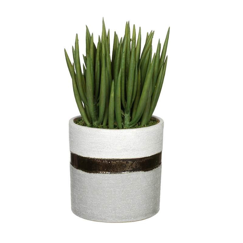 12'' Faux Succulent Plant in Ceramic Vase