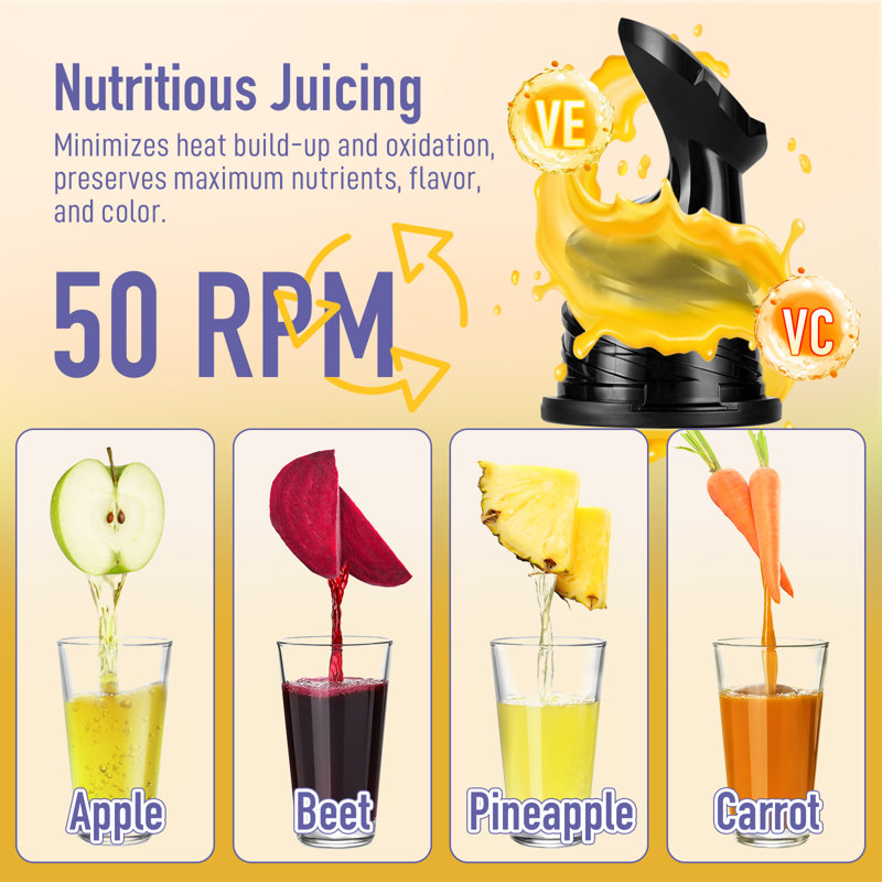 Ventray Purple Electric Masticating Juicer with Large Feed Chute