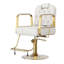 Fauteuil de coiffeur hydraulique à hauteur réglable, fauteuil de salon pivotant, blanc-132049994