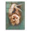 «Two-Toed Sloth» par Robert Campbell-1267809842