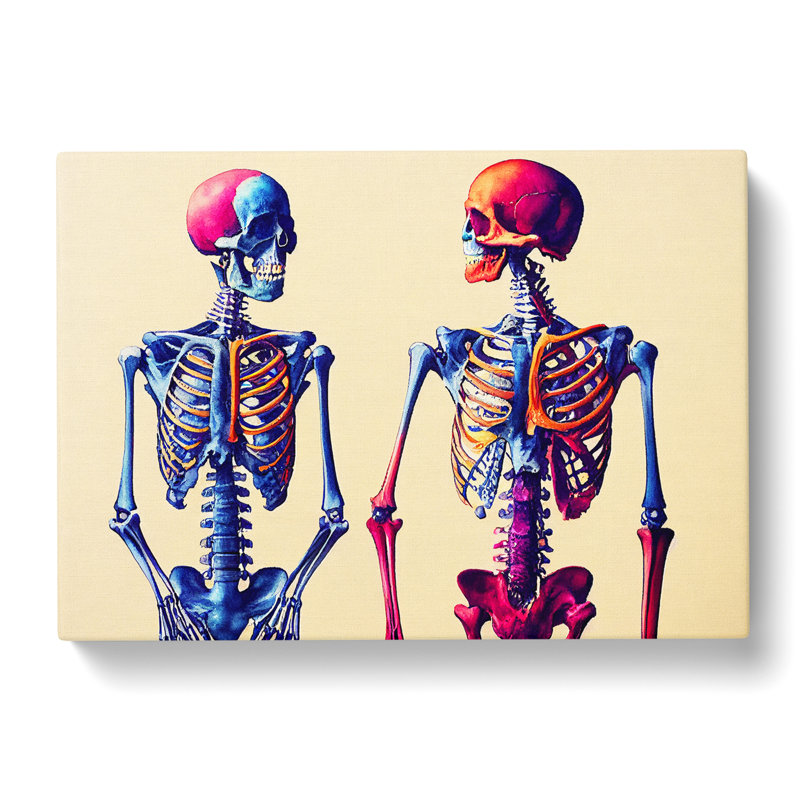 Two Skeletons - Wrapped Canvas, 35cm H x 50cm W x 3cm D