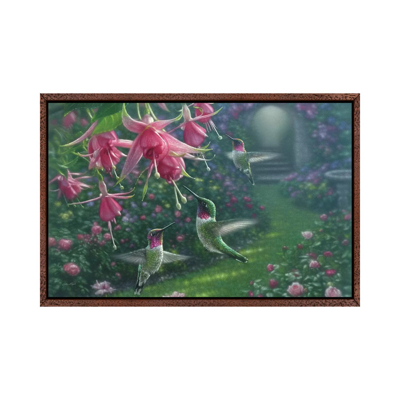 Hummingbird Haven by Collin Bogle - Print on Canvas, 101.6 cm H x 66.04 cm W, Classic Brown Wood Framed Canvas