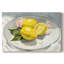 Citrons sur une assiette I - Cavas enveloppés de galerie-1344425089
