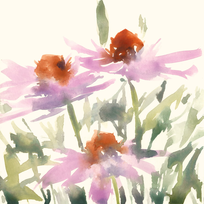Daisy Garden Views I, H 36 po x l 36 po